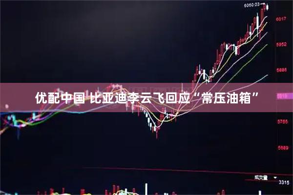 优配中国 比亚迪李云飞回应“常压油箱”