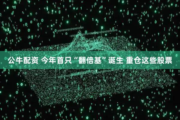 公牛配资 今年首只“翻倍基”诞生 重仓这些股票