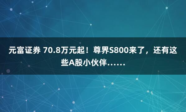 元富证券 70.8万元起！尊界S800来了，还有这些A股小伙伴……