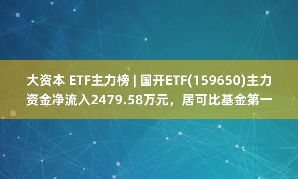 大资本 ETF主力榜 | 国开ETF(159650)主力资金净流入2479.58万元，居可比基金第一
